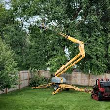 Folsom, NJ Tree Care Company